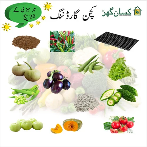 Kitchen Gardening Pure Orginal Hybrid F1 vegetable Seeds tomato, chili, cucumber, eggplant, bitter gourd, bottle gourd, okra, cauliflower, cabbage, lettuce, capsicum, spinach, coriender, pumkin, sponge gourd, cherry tomato, gol kadu etc 10 seeds each
