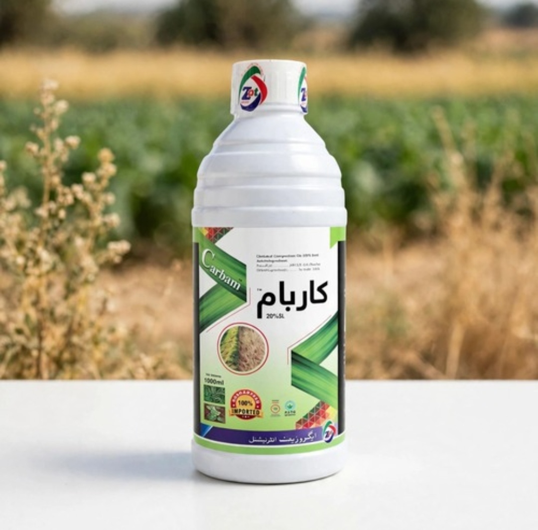 کاربام -پیرا کواٹ