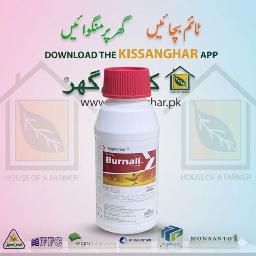 Burnall 110ME Herbicide Spray 500ML Greenlet Enterprises KingAgroot Ingredient Flufenoximacil And Glufosinate-P Target Ali akbar ( Squalo ) Suncrop ( Winspeed ) DJC ( Nezha ) Sungro ( Xmaro )