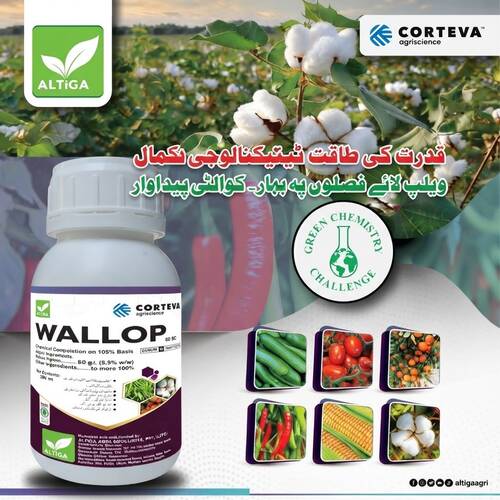 Wallop 60SC 200ML Altiga - SPINETORAM JEMVELVA ACTIVE Power of Nature, Miracle of Technology Altiga Agri Solutions by Corteva Green Chemistry