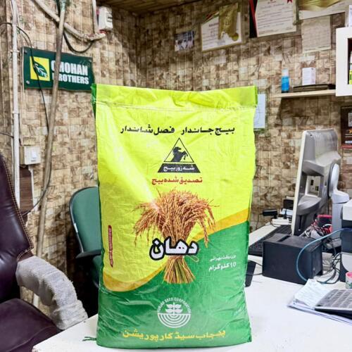 Rice Seed Pusa 1847 Basmati 10kg Saver Enterprises Improved Version Pusa PB 1847 Punjab Seeds / Saver Seeds ( part of 10kg bag )