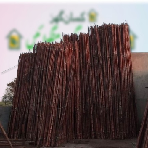 Bandle of 50 Bamboo Sticks for low tunnel farming 9 feet to 10 feet each Best for tunnel farming Hard Bans Pole