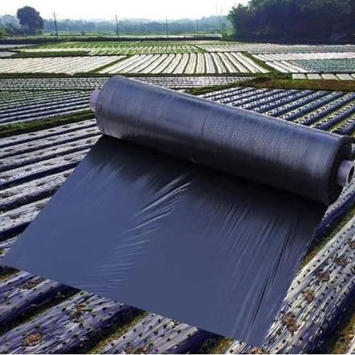 Black Ldpe Black Mulch Film Roll 20KG, 2.5feet width For Agriculture, Black Mulching Films To Control Weeds To Control Weeds ( 5000 Feet Almost ) Mulching sheet for plants Agri Plastics Kala shoper Best for vegetable farming Jilani Plastic
