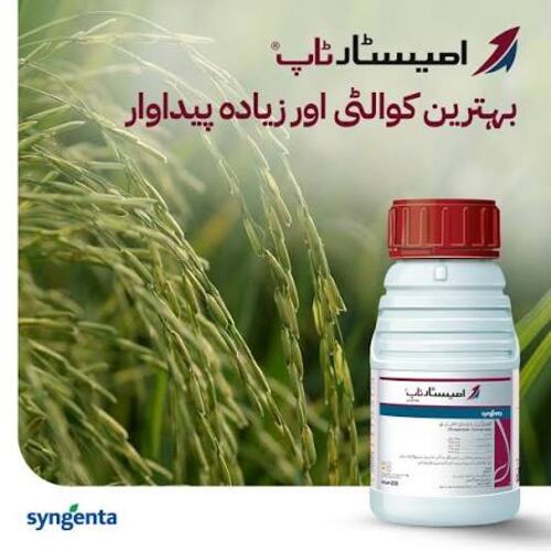 Amistar Top 600ML 200g/L Azoxystrobin 125g/L Difenoconazole Fungicide Syngenta Pakistan