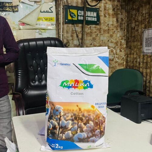 Ghuri 2kg Malka ( pink free glyphosate free whitefly resistant ) Cotton Seeds Best Cotton Variety of Pakistan Kisan Ghar Tarzan Four Brothers Kappas ka beej FB Genetics Ghauri Cotton Seed GHR