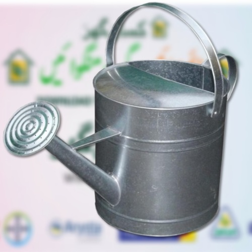 Water Shower For Plants / Water Can For Plants 10litr Pure Iron Made